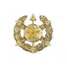 Эмблема службы радиоэлектронной борьбы